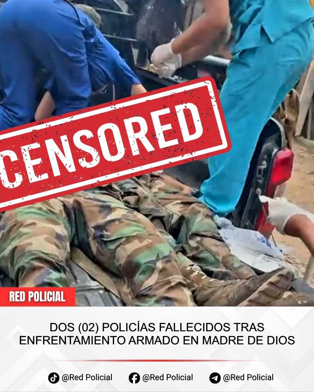 Imagen de publicación
