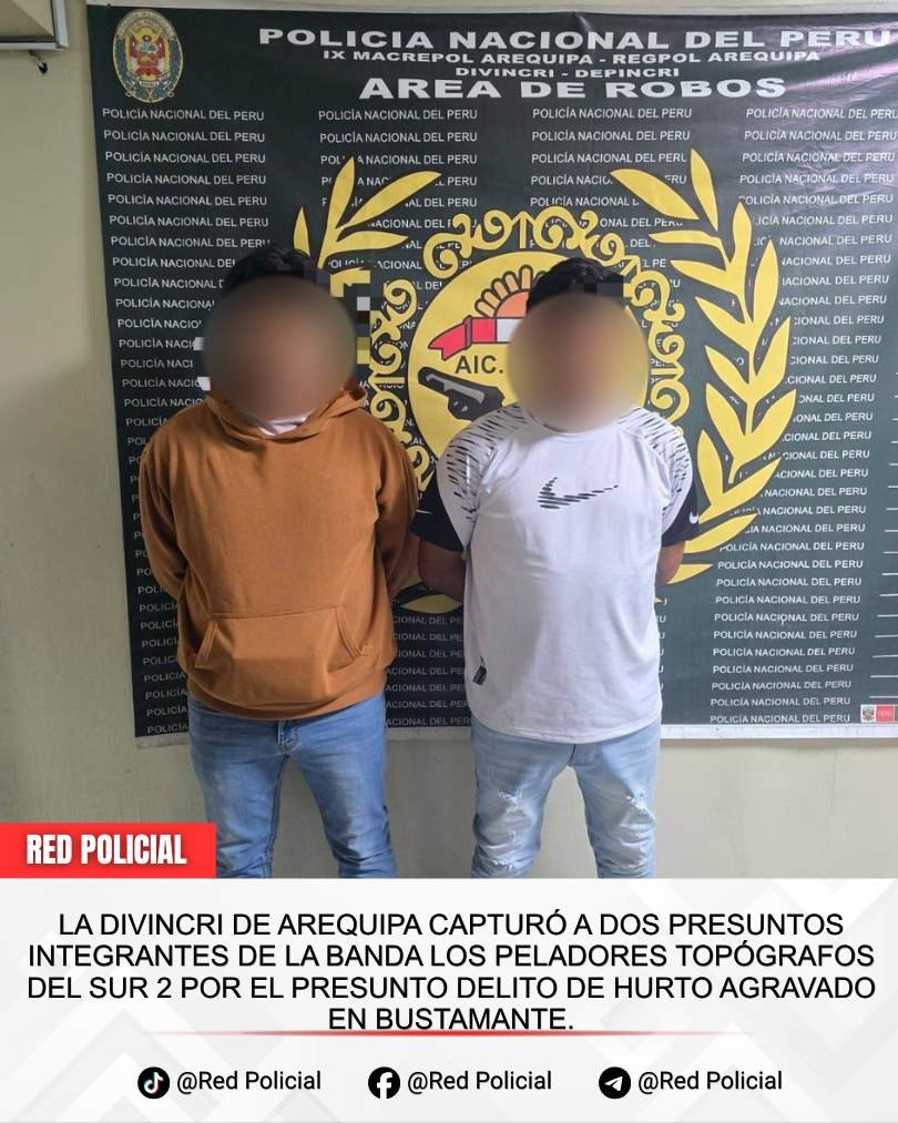 Imagen: La DIVINCRI de Arequipa capturó a dos presuntos integrantes de la banda Los Peladores Topógrafos del Sur 2 por el presunto delito de hurto agravado en Bustamante. 