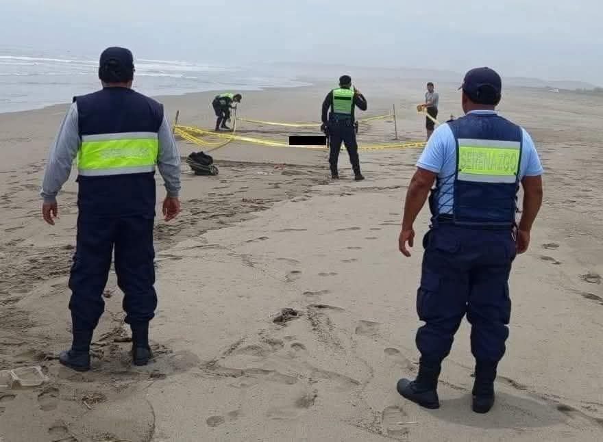 Imagen de publicación