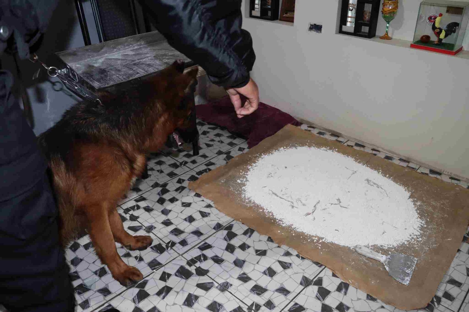 Mega Operativo Policial Desarticula a Los Vaticanos del Sur en Arequipa con DROGA